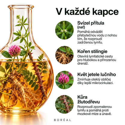 Lymfatická drenáž Boréal 2